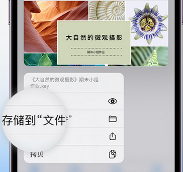 通川apple维修中心分享iPhone文件应用中存储和找到下载文件