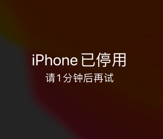 通川苹果手机维修分享:iPhone 显示“不可用”或“已停用”怎么办？还能保留数据吗？ 