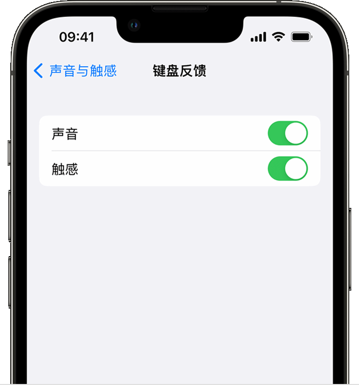 通川苹果14维修店分享如何在 iPhone 14 机型中使用触感键盘 