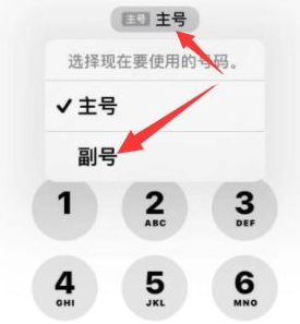 通川苹果14维修店分享iPhone 14 Pro Max使用副卡打电话的方法 