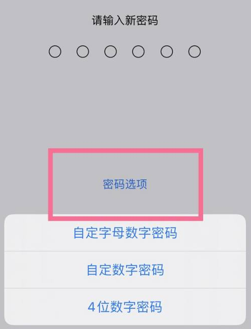 通川苹果14维修分享iPhone 14plus设置密码的方法 