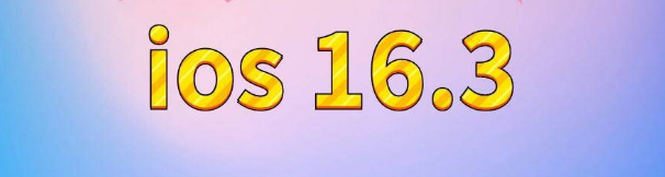 通川苹果服务网点分享苹果iOS16.3升级反馈汇总 