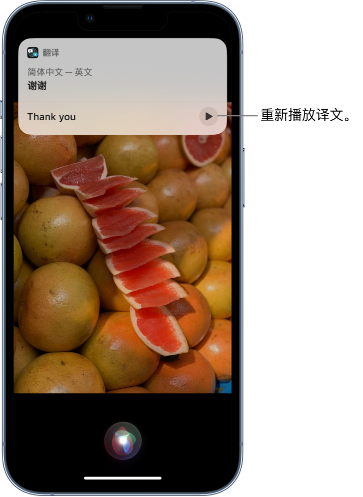 通川苹果14维修分享 iPhone 14 机型中使用 Siri：了解 Siri 能帮你做什么 