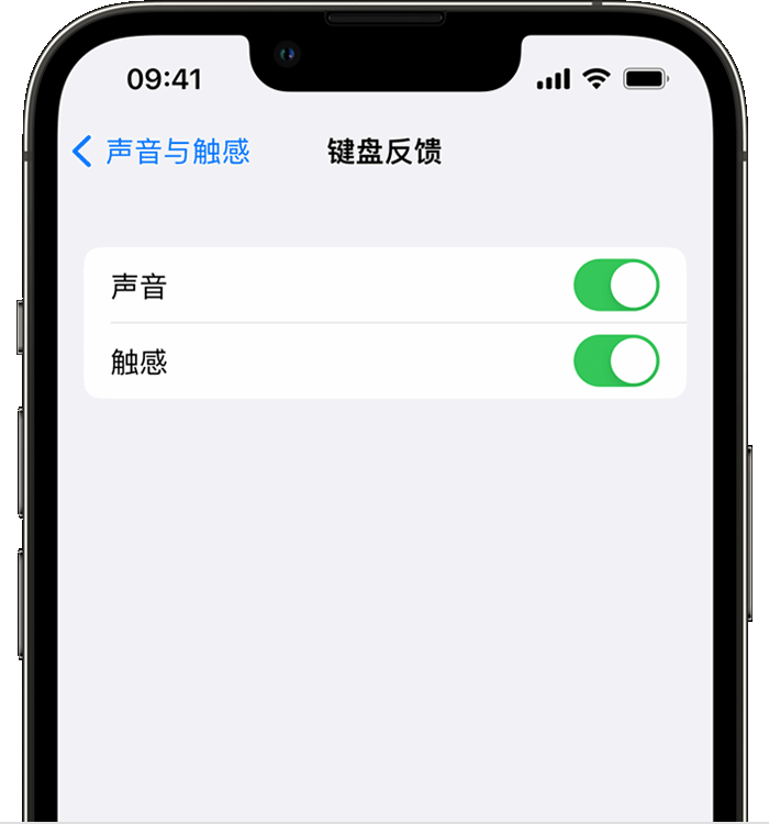 通川苹果14维修分享iPhone 14 系列机型如何开启键盘声音或触感反馈 