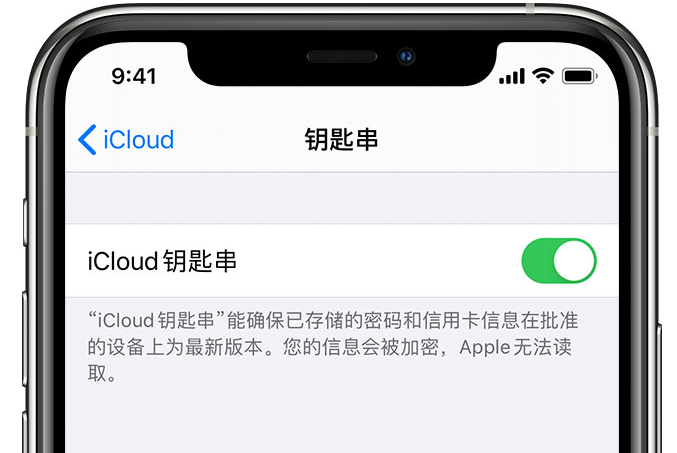 通川苹果手机维修分享在 iPhone 上开启 iCloud 钥匙串之后会储存哪些信息 