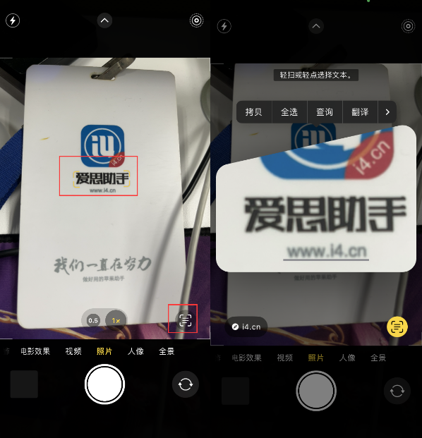 通川苹果手机维修分享升级iOS 16后如何通过相机翻译文本 