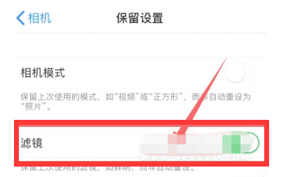 通川苹果13维修分享iPhone13拍照有绿点是怎么回事 