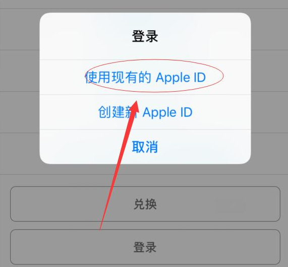 通川苹果手机维修分享两台iPhone设备可以同时登录一个Apple ID吗 