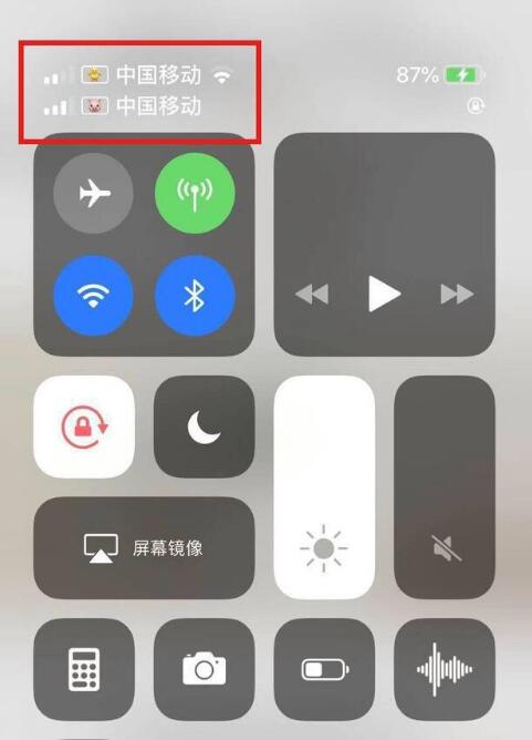 通川苹果手机维修分享为 iPhone 12 双卡设置标签 
